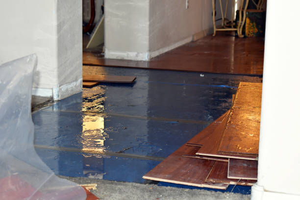 Professional Burst Pipe Cleanup technician working in Aguila, AZ